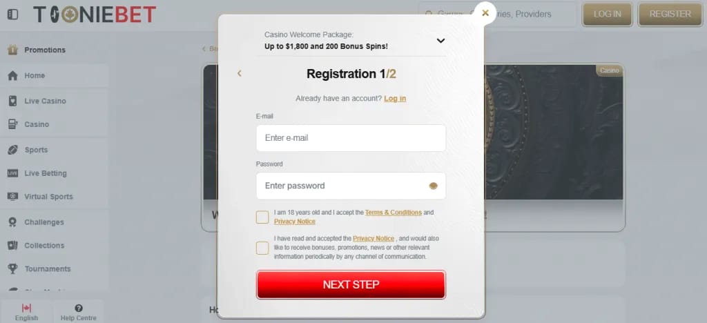 Jeux en ligne canadiens réglementés par Toonibet